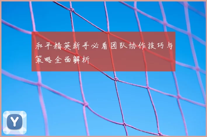 和平精英新手必看团队协作技巧与策略全面解析