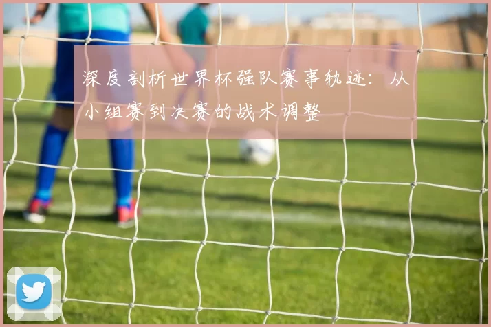 深度剖析世界杯强队赛事轨迹：从小组赛到决赛的战术调整