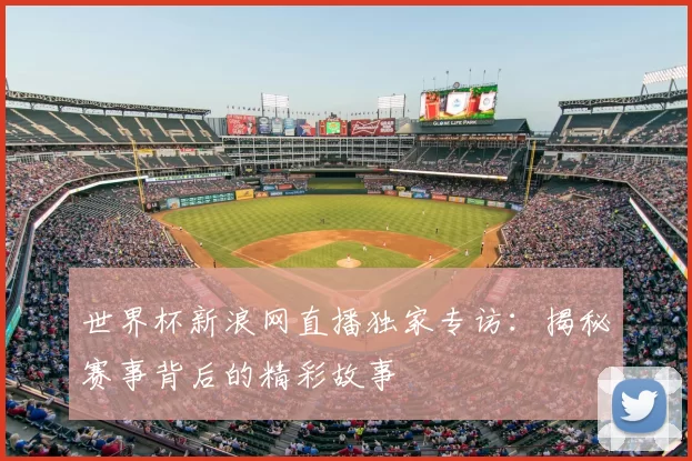 世界杯新浪网直播独家专访：揭秘赛事背后的精彩故事