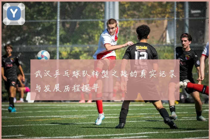 武汉乒乓球队转型之路的真实记录与发展历程探寻