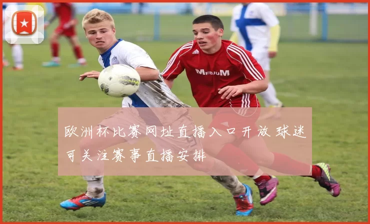 欧洲杯比赛网址直播入口开放 球迷可关注赛事直播安排