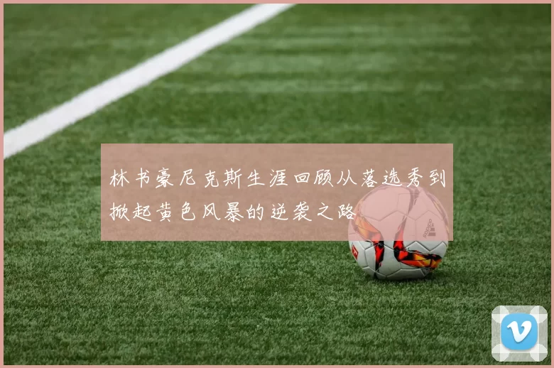 林书豪尼克斯生涯回顾从落选秀到掀起黄色风暴的逆袭之路