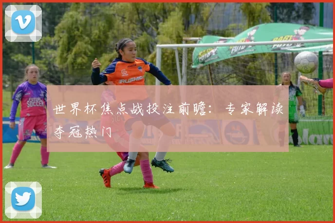 世界杯焦点战投注前瞻：专家解读夺冠热门