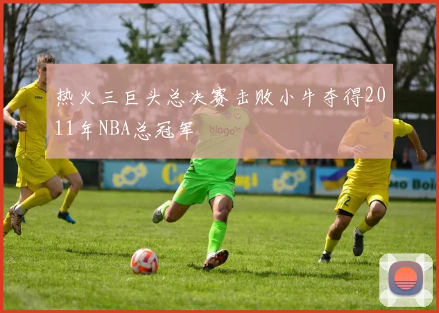 热火三巨头总决赛击败小牛夺得2011年NBA总冠军