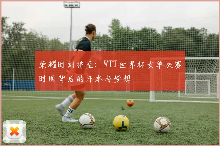 荣耀时刻将至：WTT世界杯女单决赛时间背后的汗水与梦想
