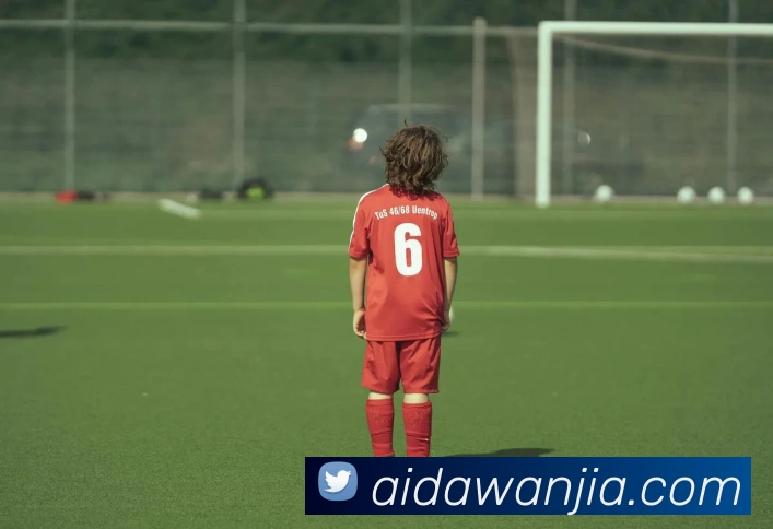 球盟会平台生态图